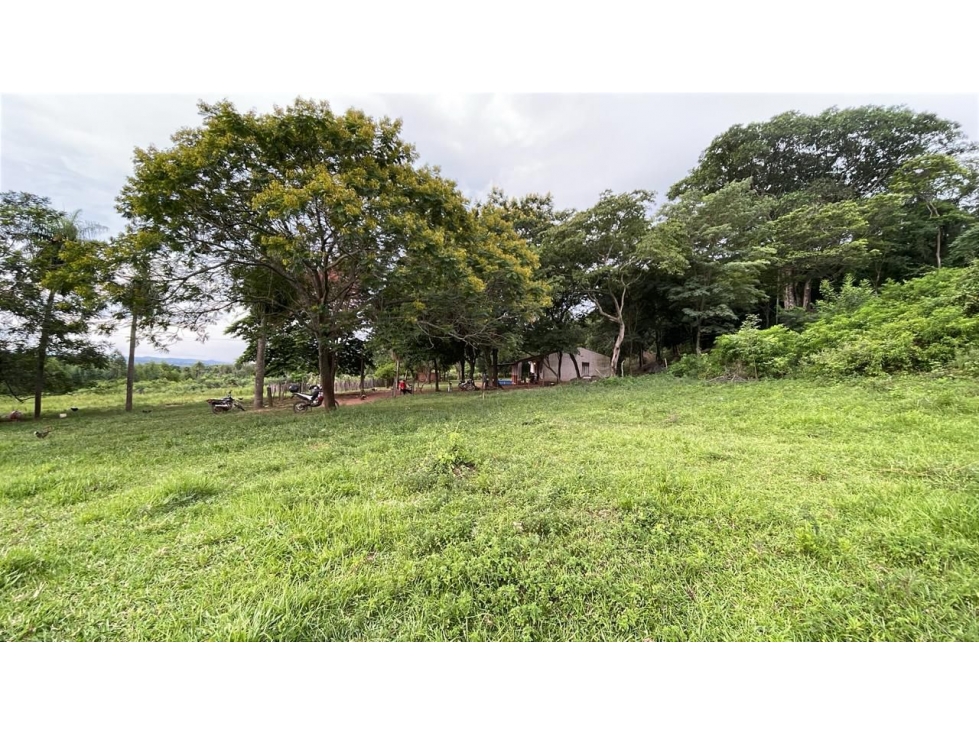 Vendo 88 hectáreas en Ybycui con casa y 21 hectáreas de eucalipto - 6