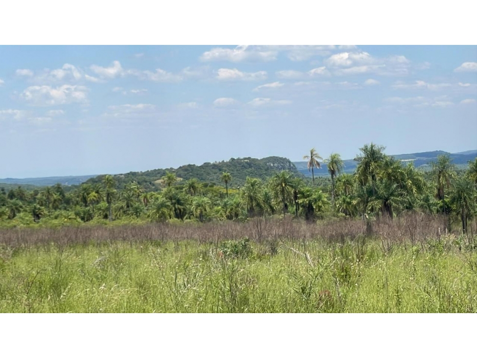50-Hectare/123.5 Acres Piribebuy Livestock & Intensive Feedlot Farm - 4