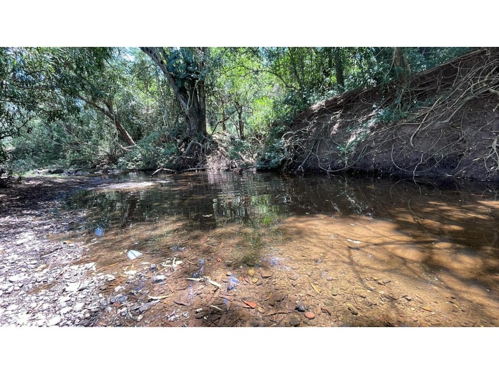 Vendo 17,7 hectáreas con 2 arroyos en Sapucai - 1