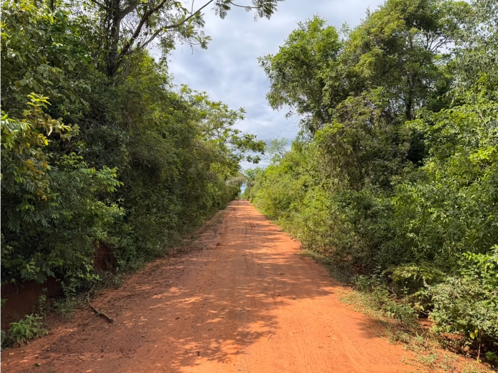 6 Hectareas en Carapeguá Ideal Country Land (Crypto & USDT Accepted) - 3