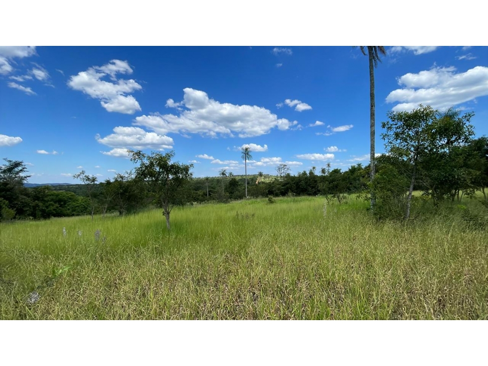 Vendo hermosa propiedad de 10 hectáreas en Piribebuy - 3