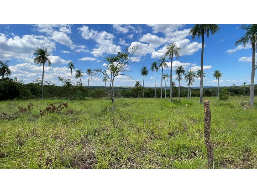 Vendo hermosa propiedad de 10 hectáreas en Piribebuy - 2