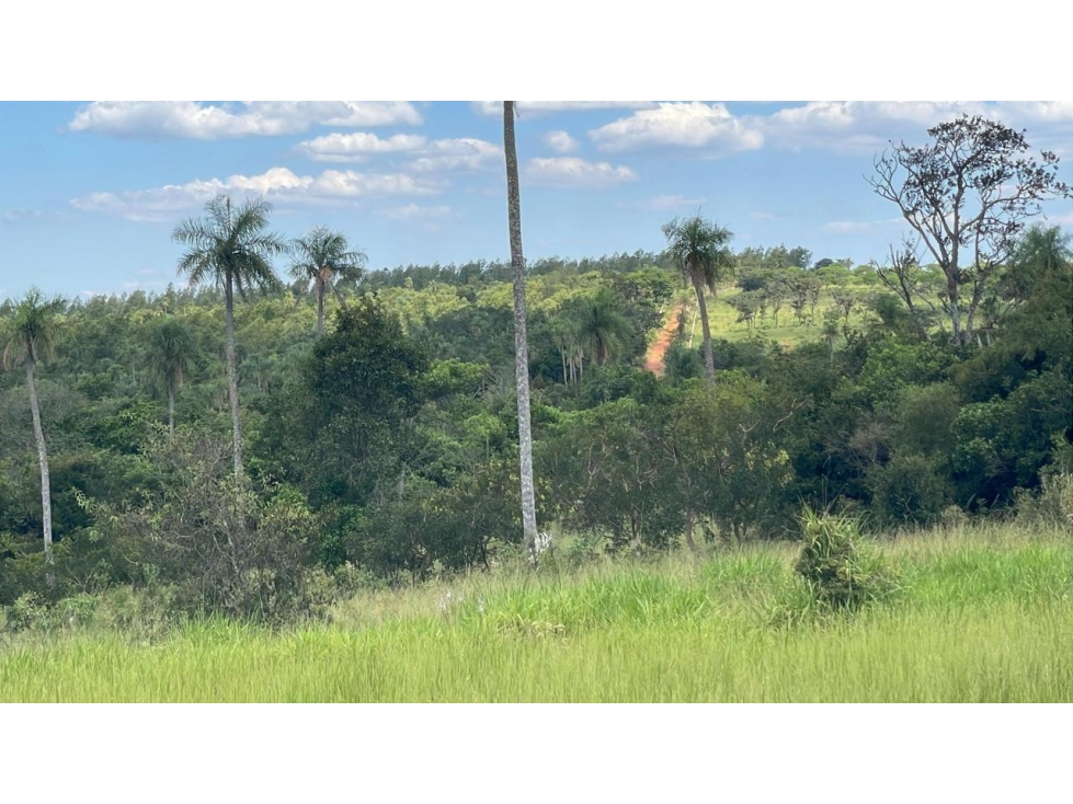 Vendo hermosa propiedad de 10 hectáreas en Piribebuy - 6