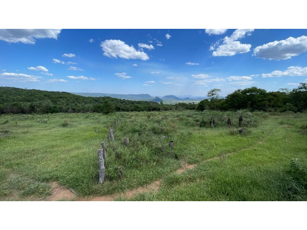 Vendo hermosa propiedad de 10 hectáreas en Piribebuy - 4