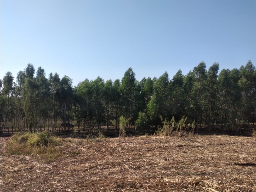 Vendo 5,5 hectareas en Arroyos y Esteros - 1
