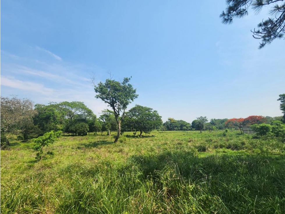 Vendo 5,5 hectareas en Caraguatay Fulgencio Yegros A 1000m del asfalto - 2