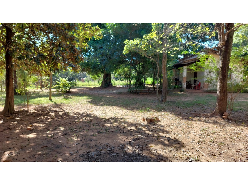 Vendo terreno de 1800 m2 en Limpio de 60x30m Barrio Rincón del Peñon - 2