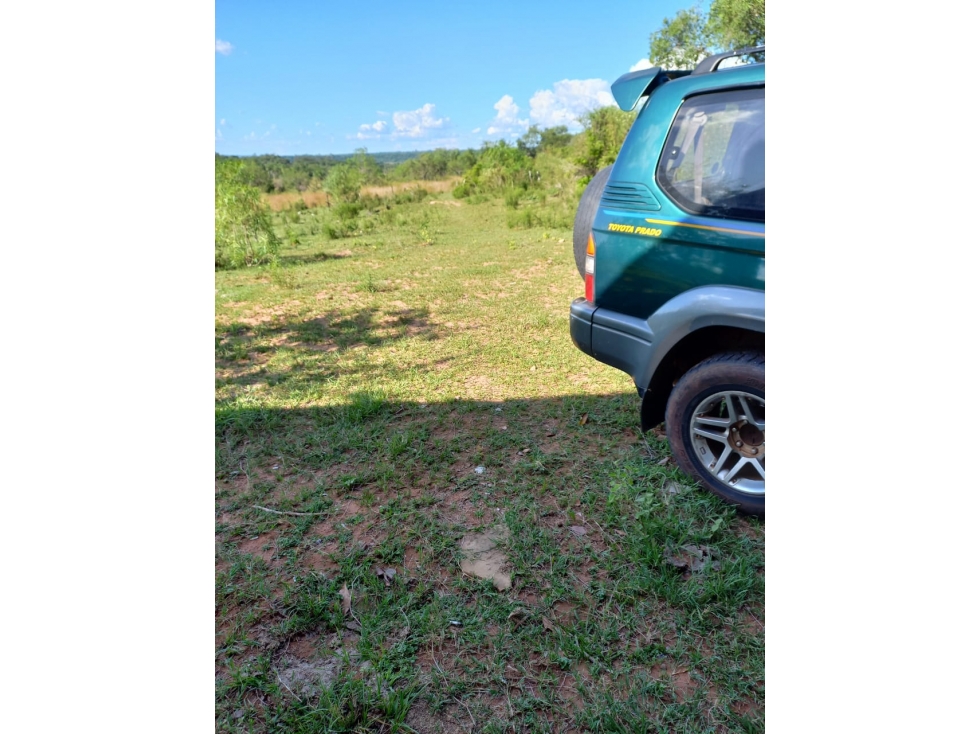 Vendo 46 hectáreas en Nueva Colombia a 800 metros del asfalto - 3