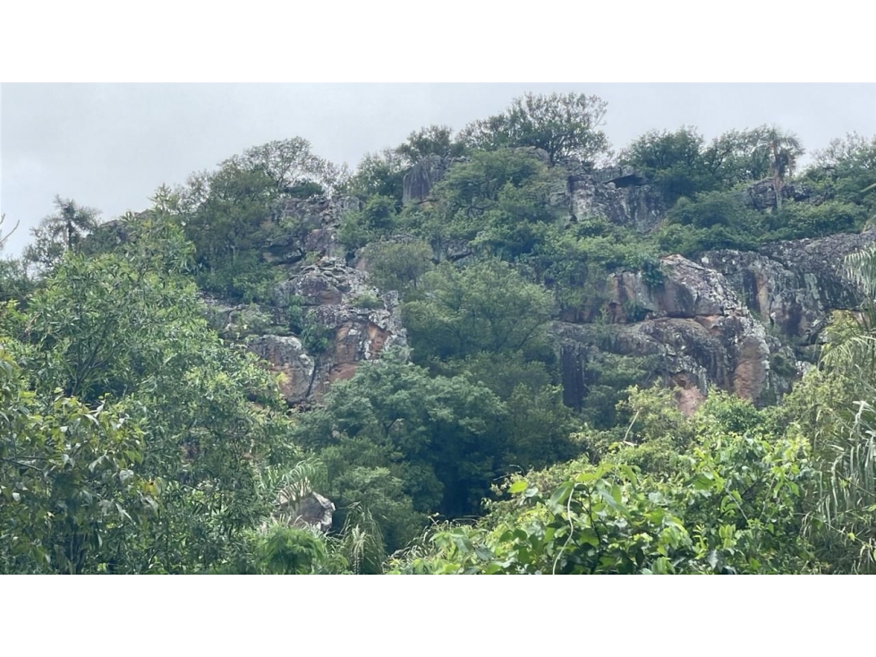 Vendo 14,6 hectáreas en Caacupé con vista al Cerro Kavaju - 3