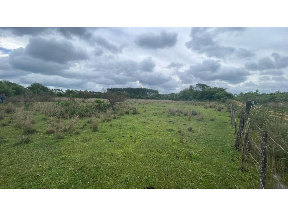 Vendo propiedad de 12,6 ha en Carapeguá - 1