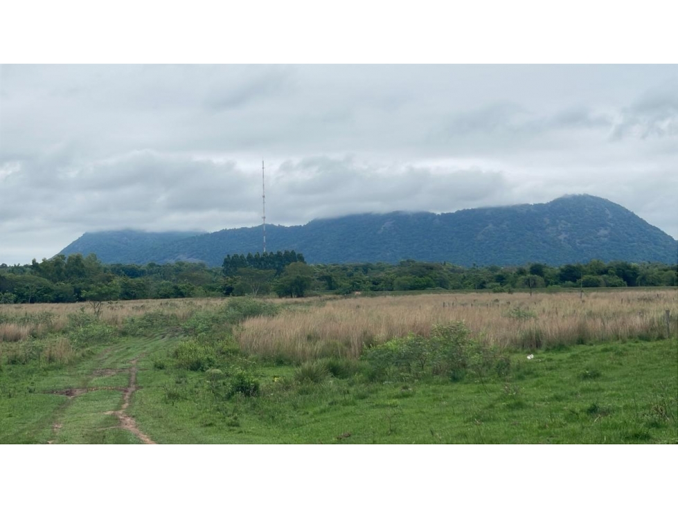 Inversión Agropecuaria en Paraguay: 90 Ha en Acahay con arroyo - 2