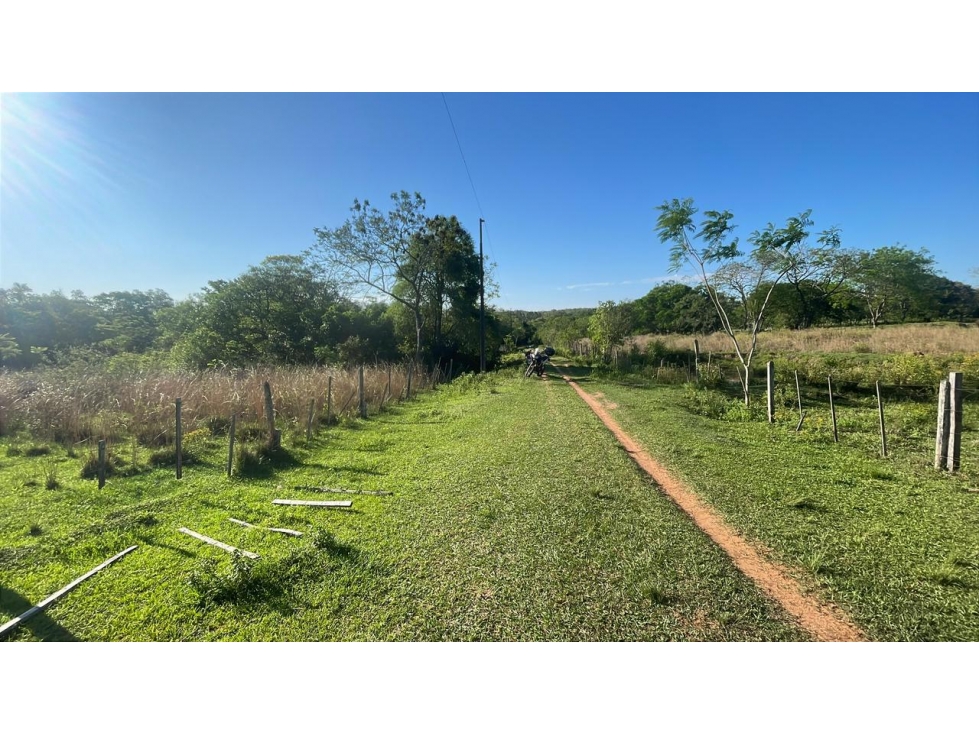 Vendo 4,5 hectáreas en Piribebuy con manantial, arroyo y pileta - 1