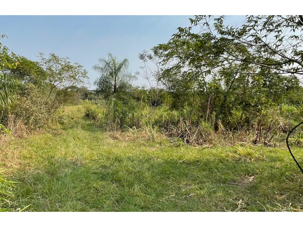Vendo 5 hectáreas en Arroyos y Esteros Zona San Antonio - 2