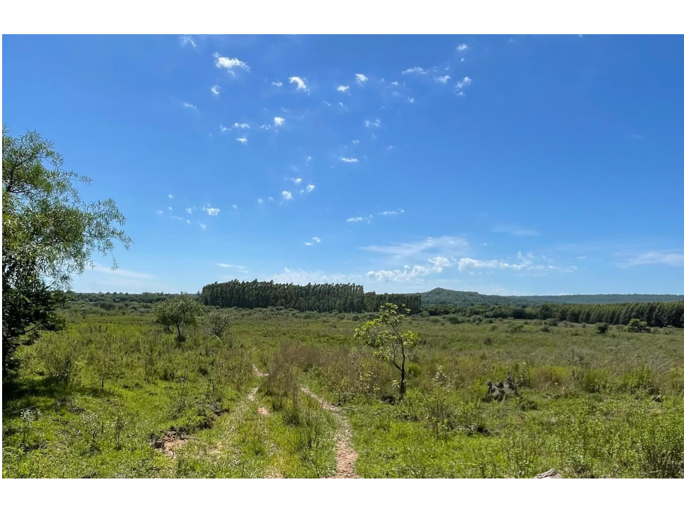 VENDO 9 HECTAREAS EN ATYRA A 4 km del casco urbano - 2