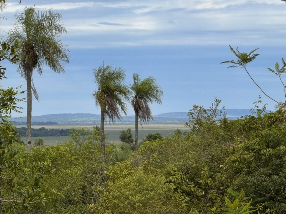 6 Hectareas en Carapeguá Ideal Country Land (Crypto & USDT Accepted) - 1