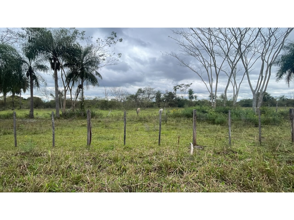 Vendo 6,5 hectáreas en Ybycui - 1