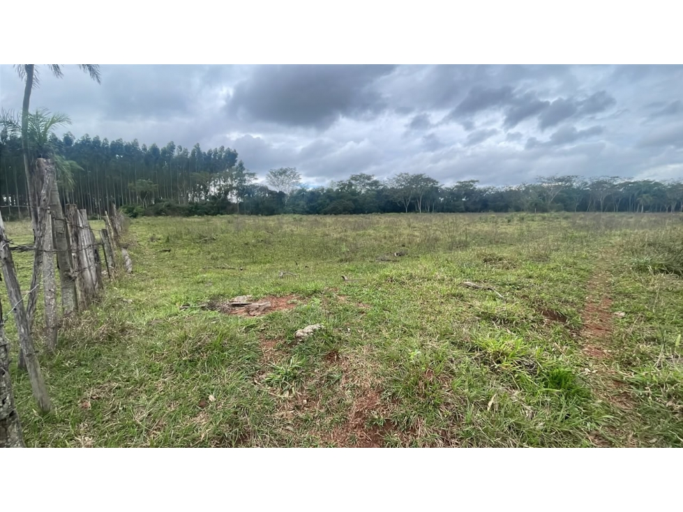 Vendo 3,5 hectáreas en Ybycui - 4