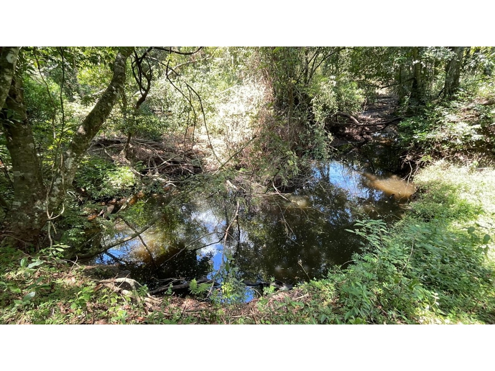 Campo 17,7 ha con casa y arroyos en Sapucai | 44-acre farm with house - 3
