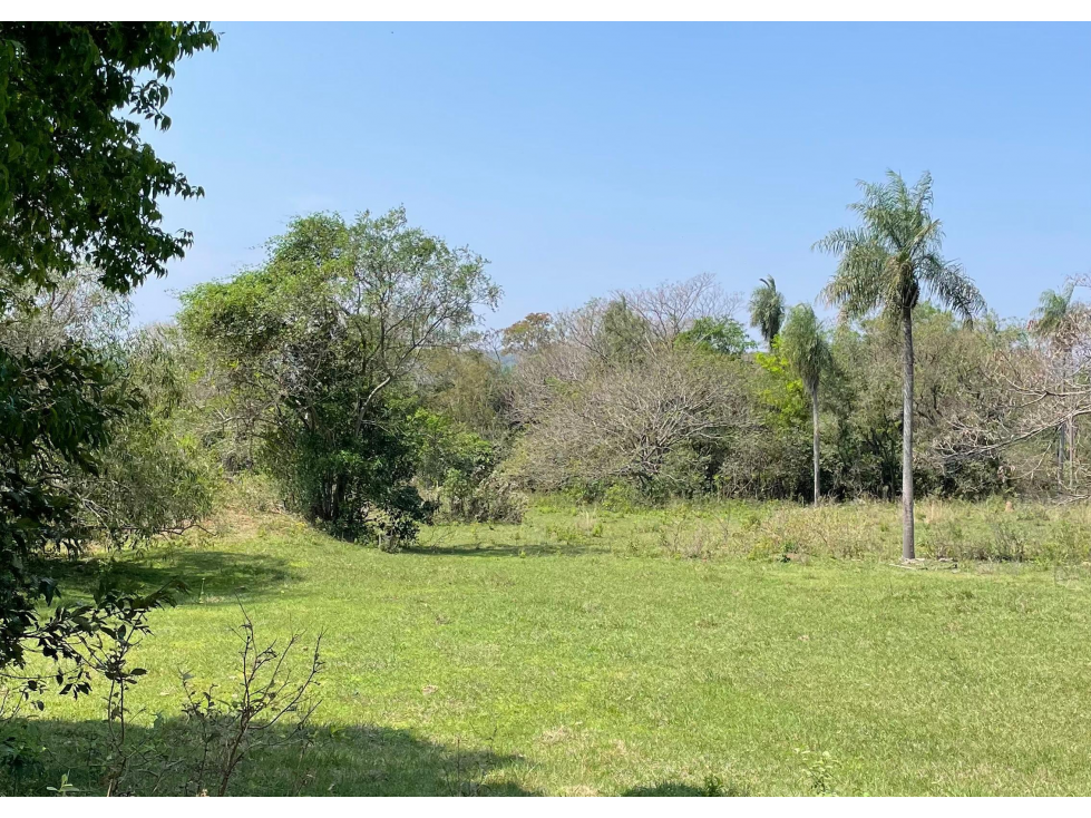 8.6 Hectáreas en Caacupé | Ideal for Agriculture & Fish Farming - 2