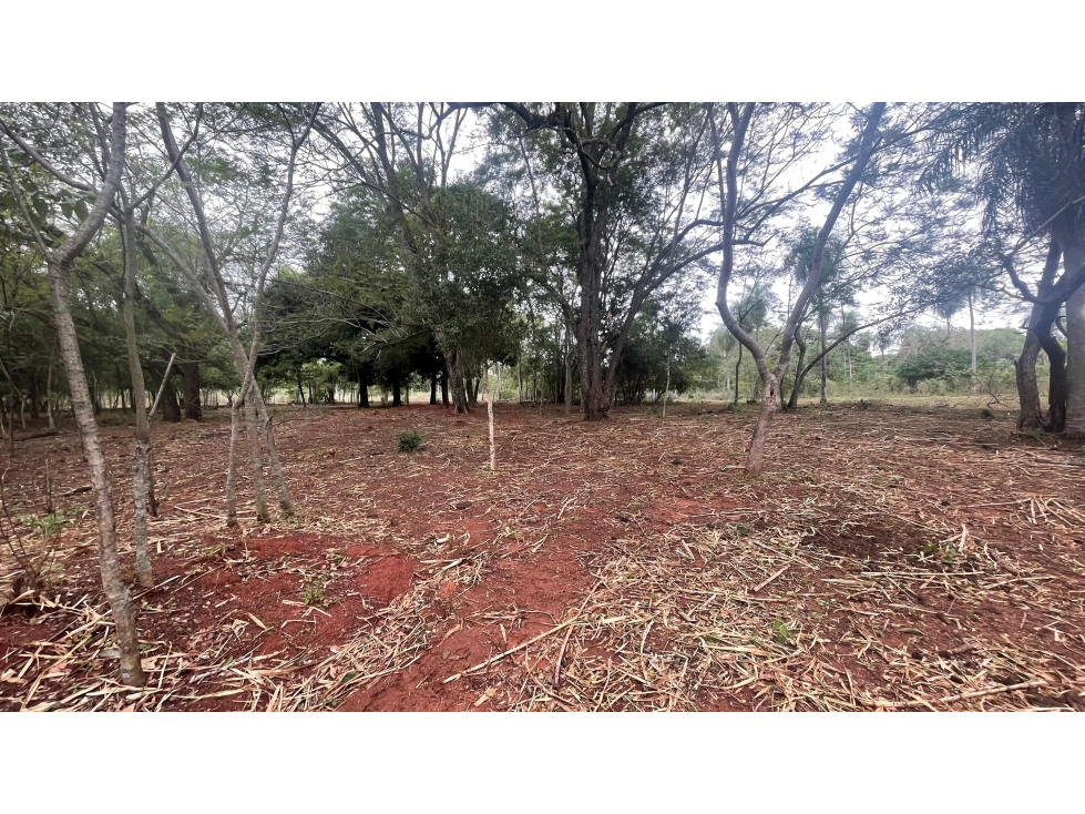 Vendo 9 hectáreas Quiindy a 2,5 km de la ruta 1 - 2
