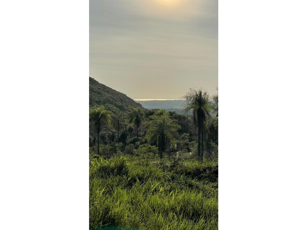Vendo 20,3 hectáreas en Caacupe, Cordillera con agua y cerro - 1