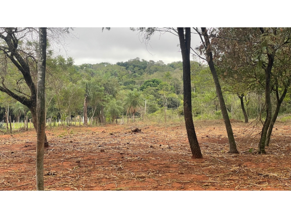 Vendo 9 hectáreas Quiindy a 2,5 km de la ruta 1 - 3