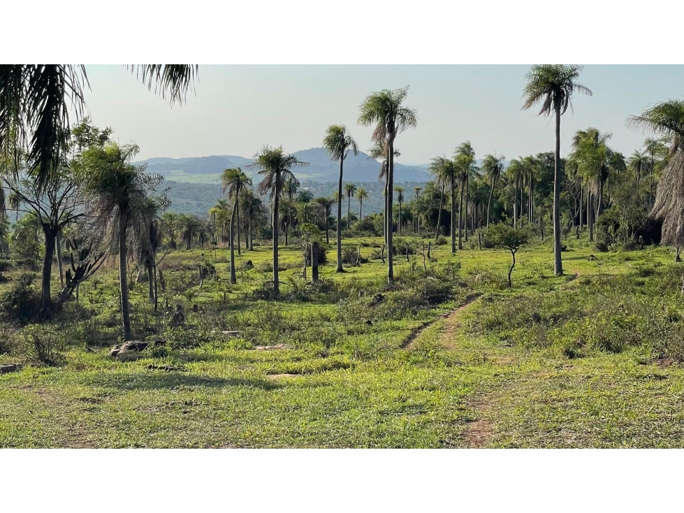 Vendo 20,3 hectáreas en Caacupe, Cordillera con agua y cerro - 3