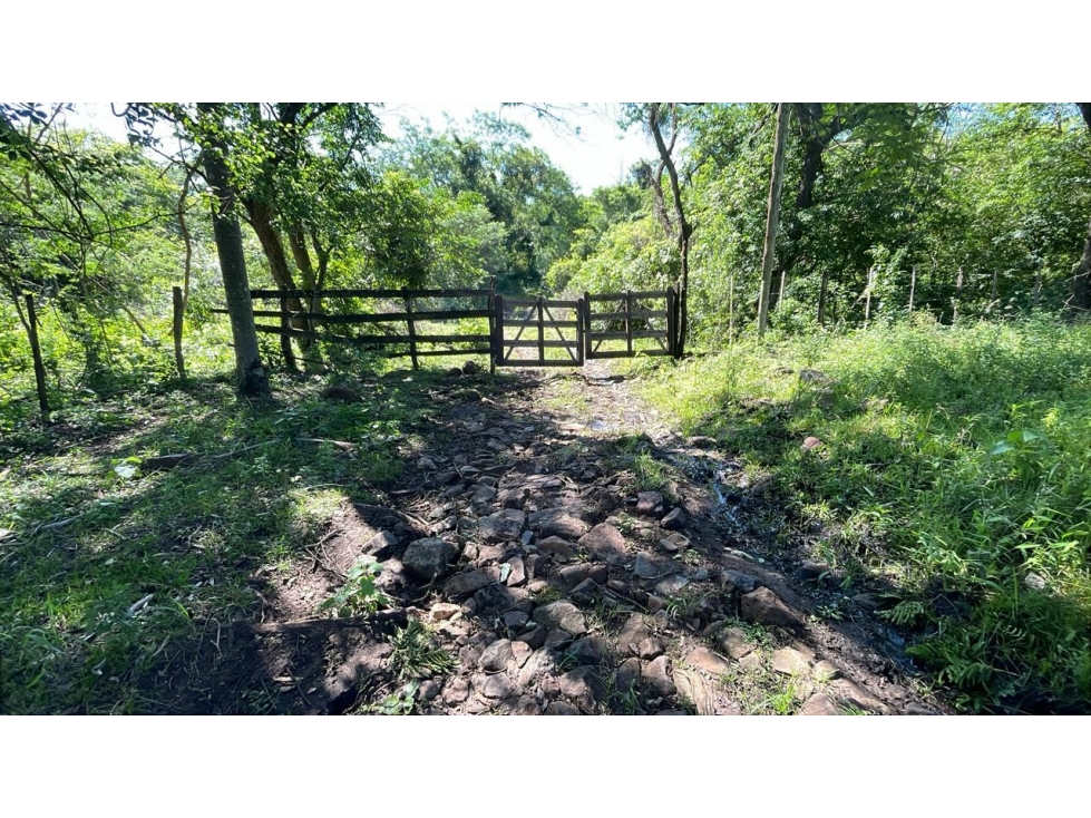 Campo de 8,9 ha en Caballero | 22-acre farm 2 hours from Asunción - 6