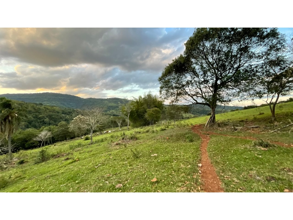 43 Hectares Farm for Sale in Paraguay with Natural Spring and Creek - 1