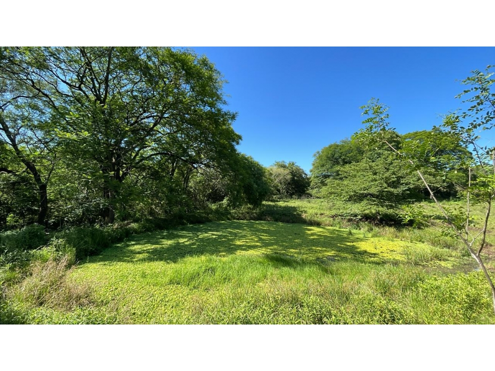 Campo de 8,9 ha en Caballero | 22-acre farm 2 hours from Asunción - 5