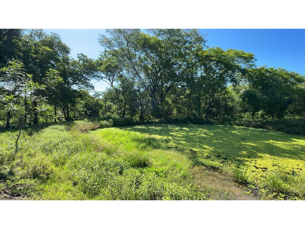 Campo de 8,9 ha en Caballero | 22-acre farm 2 hours from Asunción - 2