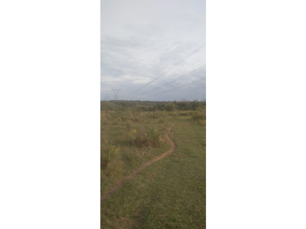 Vendo 20 hectáreas en Emboscada A 3 km de la ruta 3 del casco urbano - 3