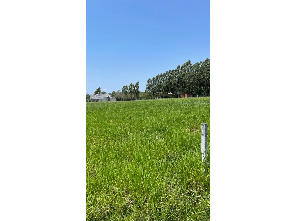 Vendo hermoso terreno en Surubi'i - 3