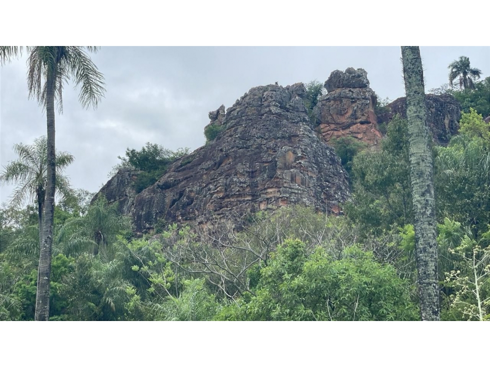 Vendo 14,6 hectáreas en Caacupé con vista al Cerro Kavaju - 4