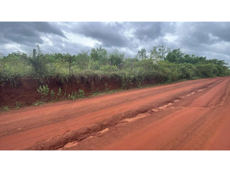 Vendo propiedad de 12,6 ha en Carapeguá - 6