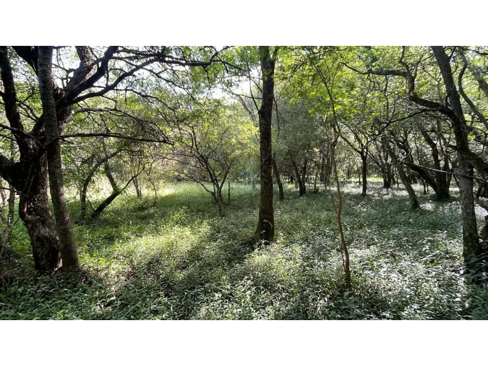 Campo de 34 Hectáreas con arroyo y vistas en Venta en Acahay, Paraguay - 3