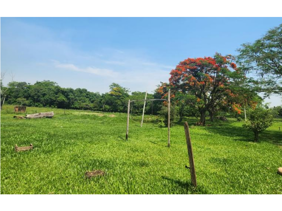 Vendo 5,5 hectareas en Caraguatay Fulgencio Yegros A 1000m del asfalto - 3