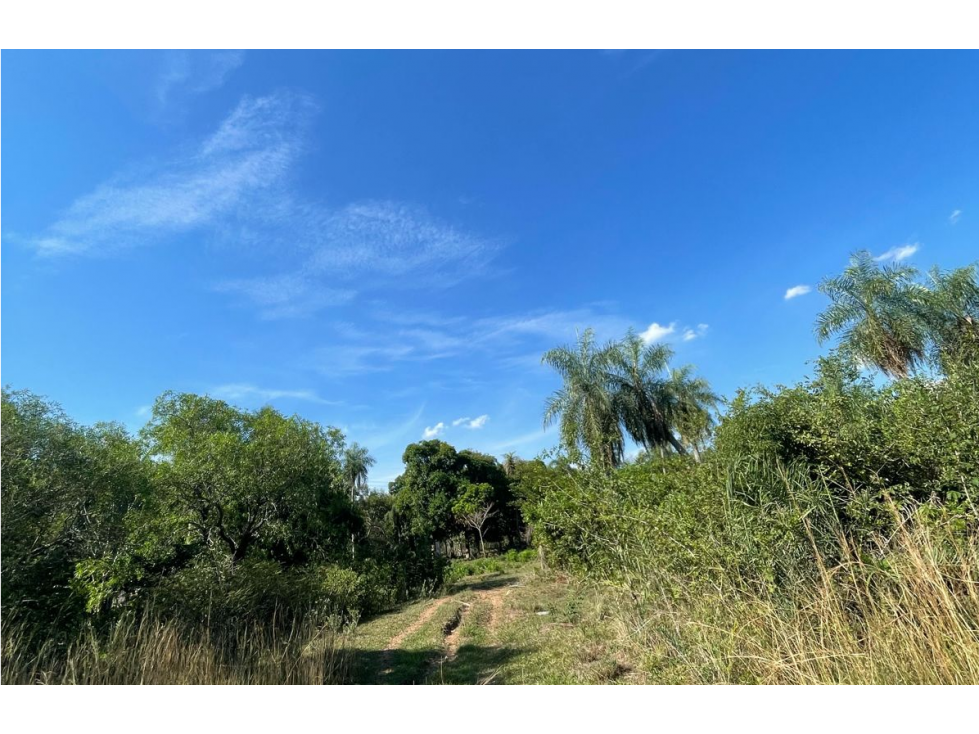 VENDO HERMOSA PROPIEDAD EN EMBOSCADA 20 hectareas A 3 km de la ruta - 3