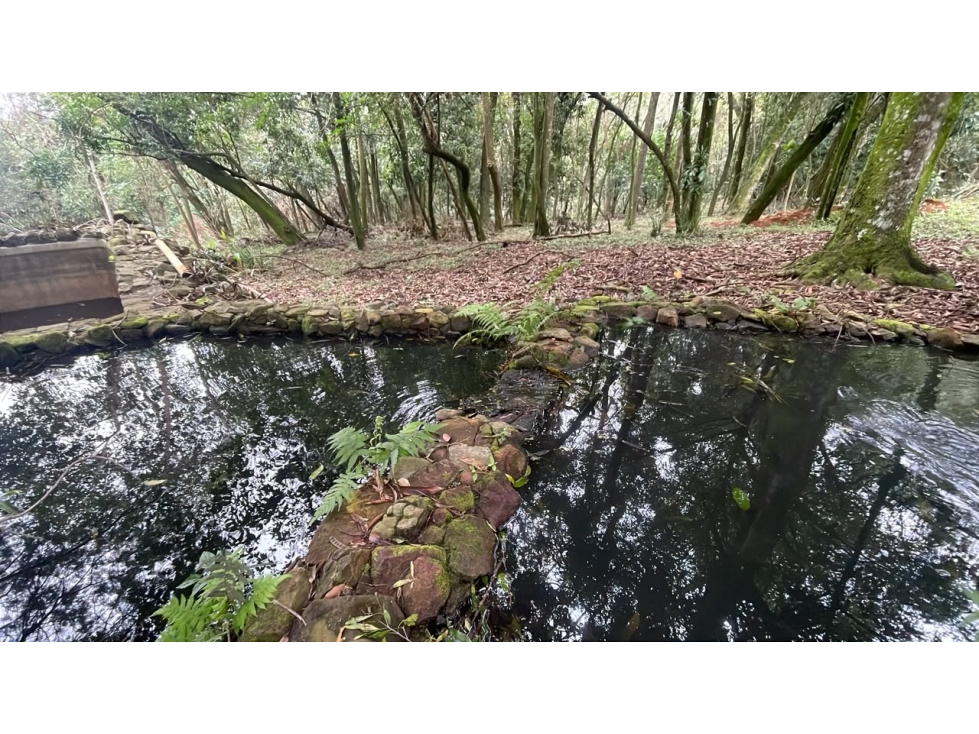 Campo 35 ha con arroyo y mirador en Caballero | 86-acre estate - 4