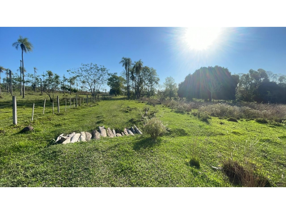 Vendo 4,5 hectáreas en Piribebuy con manantial, arroyo y pileta - 4
