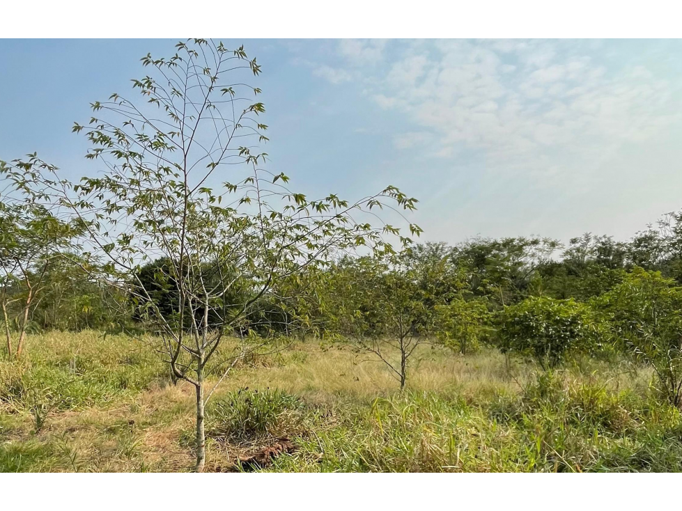 Vendo 5 hectáreas en Arroyos y Esteros Zona San Antonio - 3