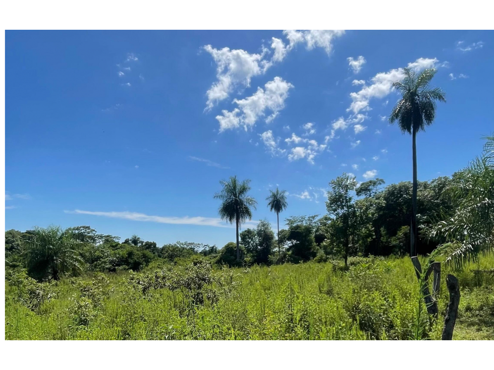 VENDO 9 HECTAREAS EN ATYRA A 4 km del casco urbano - 3