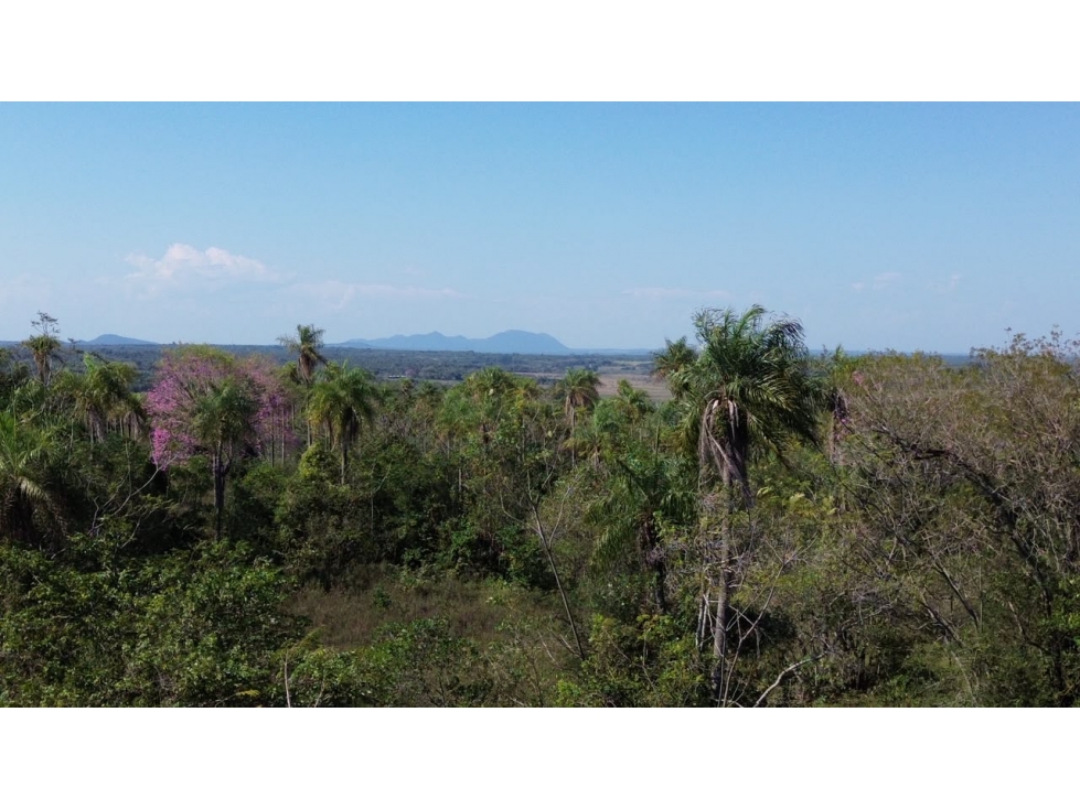 6 Hectareas en Carapeguá Ideal Country Land (Crypto & USDT Accepted) - 4