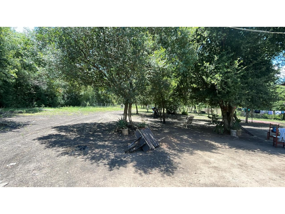 Campo 17,7 ha con casa y arroyos en Sapucai | 44-acre farm with house - 4