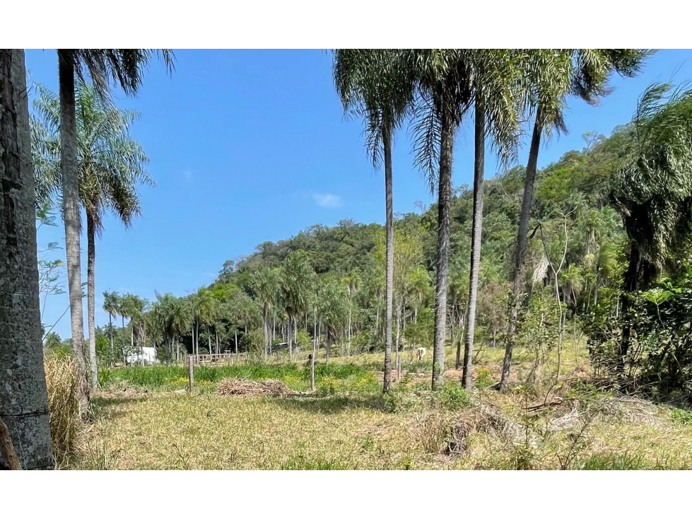 8.6 Hectáreas en Caacupé | Ideal for Agriculture & Fish Farming - 1
