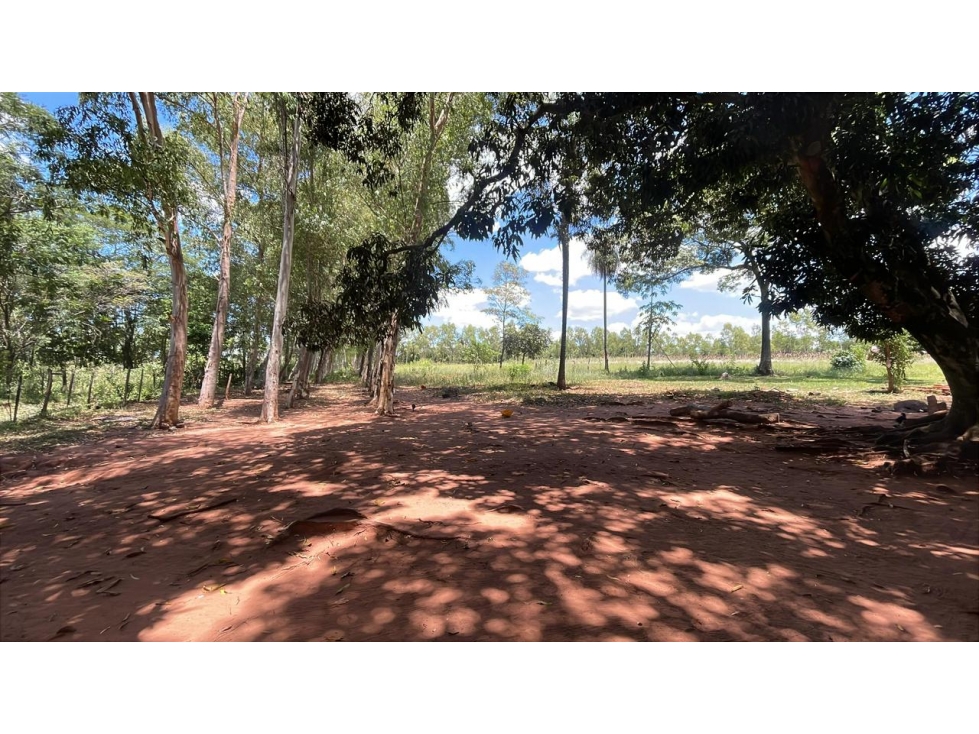 50-Hectare/123.5 Acres Piribebuy Livestock & Intensive Feedlot Farm - 6