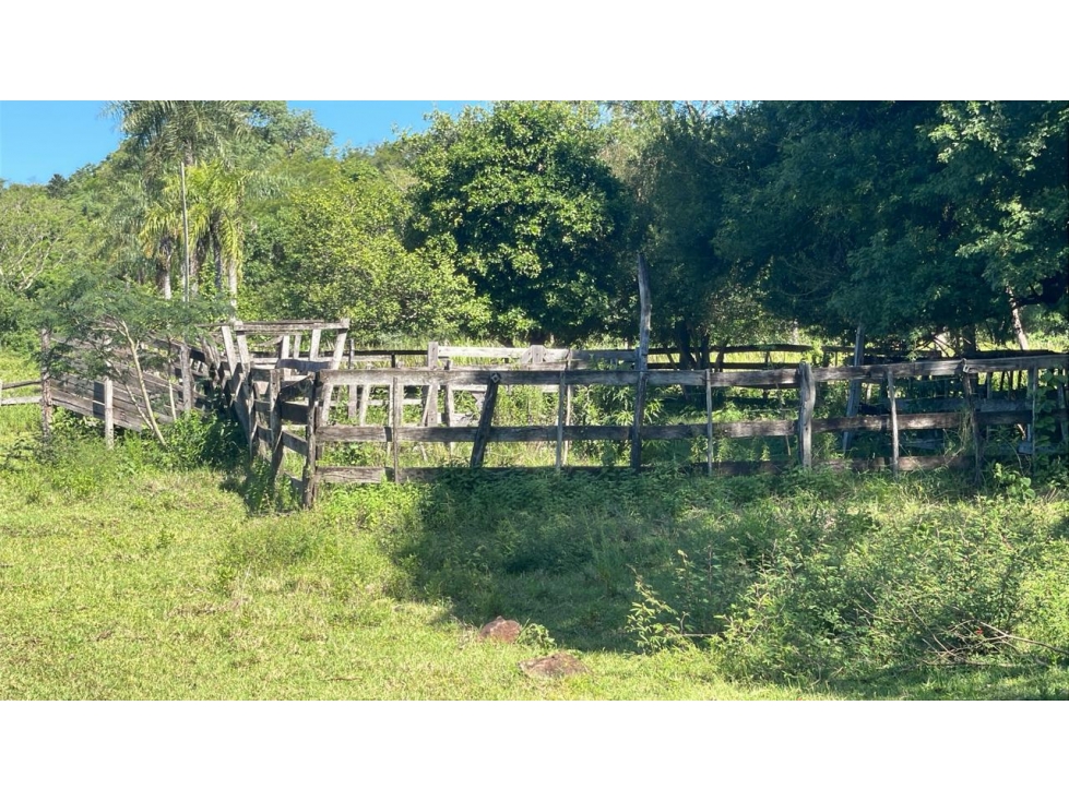 Campo de 8,9 ha en Caballero | 22-acre farm 2 hours from Asunción - 3