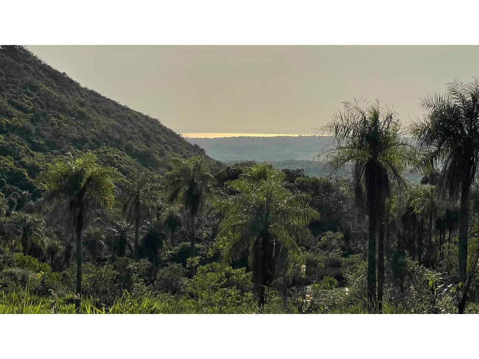 Vendo 20,3 hectáreas en Caacupe, Cordillera con agua y cerro - 4