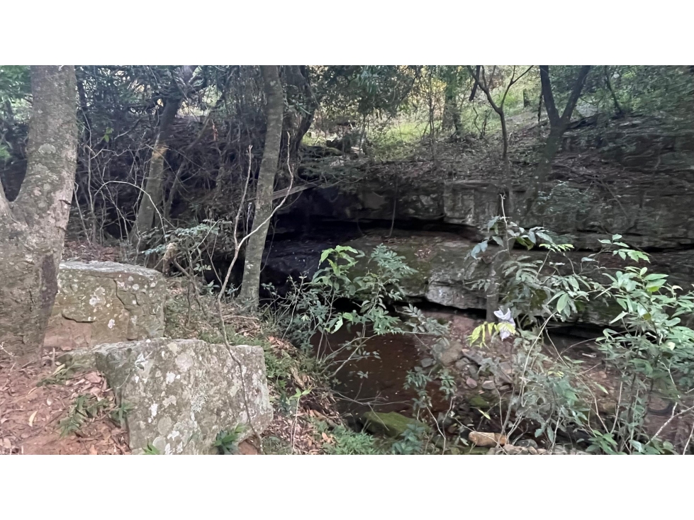 Vendo 20,3 hectáreas en Caacupe, Cordillera con agua y cerro - 5