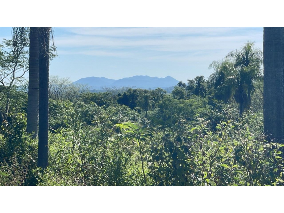 Campo de 8,9 ha en Caballero | 22-acre farm 2 hours from Asunción - 1